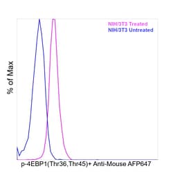 Invitrogen&trade;&nbsp;Phospho-4EBP1 (Thr36, Thr45) Recombinant Mouse Monoclonal Antibody (V3NTY24)