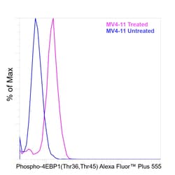 Invitrogen&trade;&nbsp;Phospho-4EBP1 (Thr36, Thr45) Recombinant Mouse Monoclonal Antibody (V3NTY24), Alexa Fluor&trade; Plus 555