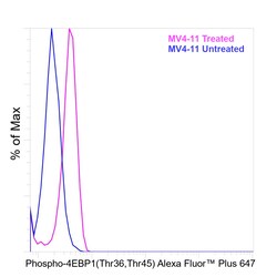 Invitrogen Phospho-4EBP1 (Thr36, Thr45) Recombinant Mouse Monoclonal Antibody (V3NTY24), Alexa Fluor Plus 647 20 &mu;L | Buy Online | Invitrogen&trade; | Fisher Scientific