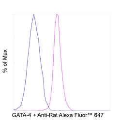 Invitrogen GATA4 Recombinant Rat Monoclonal Antibody (eBioEvan):Antibodies:Primary