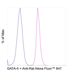 Invitrogen GATA4 Recombinant Rat Monoclonal Antibody (eBioEvan):Antibodies:Primary