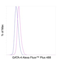 Invitrogen GATA4 Recombinant Rat Monoclonal Antibody (eBioEvan), Alexa