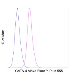 Invitrogen GATA4 Recombinant Rat Monoclonal Antibody (eBioEvan), Alexa