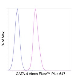 Invitrogen GATA4 Recombinant Rat Monoclonal Antibody (eBioEvan), Alexa