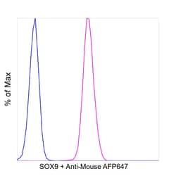 Invitrogen SOX9 Recombinant Mouse Monoclonal Antibody (GMPR9):Antibodies:Primary