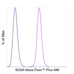 Invitrogen SOX9 Recombinant Mouse Monoclonal Antibody (GMPR9), Alexa Fluor