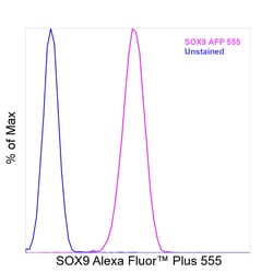 Invitrogen SOX9 Recombinant Mouse Monoclonal Antibody (GMPR9), Alexa Fluor