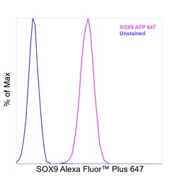 Invitrogen SOX9 Recombinant Mouse Monoclonal Antibody (GMPR9), Alexa Fluor