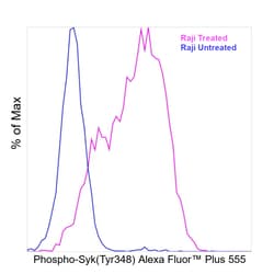 Invitrogen&trade;&nbsp;Phospho-Syk (Tyr348) Recombinant Mouse Monoclonal Antibody (moch1ct), Alexa Fluor&trade; Plus 555