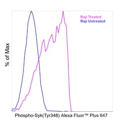 Invitrogen&trade;&nbsp;Phospho-Syk (Tyr348) Recombinant Mouse Monoclonal Antibody (moch1ct), Alexa Fluor&trade; Plus 647