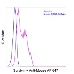 Invitrogen Survivin Recombinant Mouse Monoclonal Antibody (STLALYV) 100 &mu;L | Buy Online | Invitrogen&trade; | Fisher Scientific