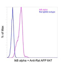 Invitrogen IkB alpha Recombinant Rat Monoclonal Antibody (MFRDTRK) 20 &mu;L;