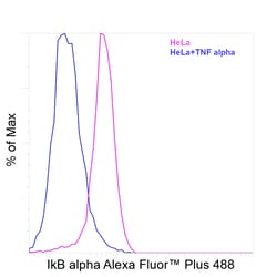 Invitrogen IkB alpha Recombinant Rat Monoclonal Antibody (MFRDTRK), Alexa