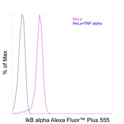 Invitrogen IkB alpha Recombinant Rat Monoclonal Antibody (MFRDTRK), Alexa