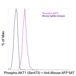 Invitrogen&trade;&nbsp;Phospho-AKT1 (Ser473) Recombinant Mouse Monoclonal Antibody (SDRNR)