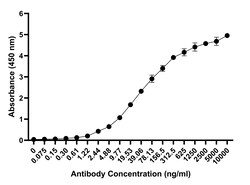 Invitrogen CCL4 (MIP-1 beta) Recombinant Mouse Monoclonal Antibody (FL34Z3L):Antibodies:Primary