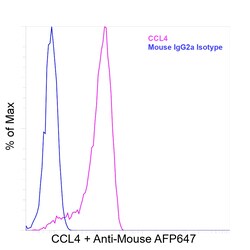 Invitrogen CCL4 (MIP-1 beta) Recombinant Mouse Monoclonal Antibody (FL34Z3L):Antibodies:Primary