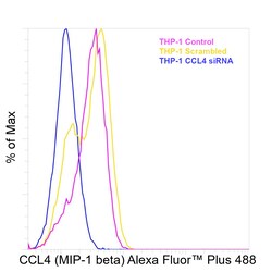 Invitrogen CCL4 Recombinant Mouse Monoclonal Antibody (FL34Z3L), Alexa Fluor Plus 488 20 &mu;L | Buy Online | Invitrogen&trade; | Fisher Scientific