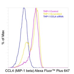Invitrogen CCL4 Recombinant Mouse Monoclonal Antibody (FL34Z3L), Alexa Fluor Plus 647 20 &mu;L | Buy Online | Invitrogen&trade; | Fisher Scientific