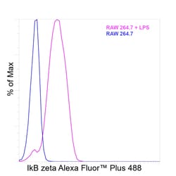 Invitrogen IkB zeta Recombinant Rat Monoclonal Antibody (LK2NAP), Alexa