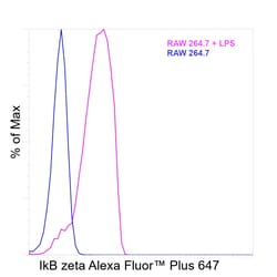 Invitrogen IkB zeta Recombinant Rat Monoclonal Antibody (LK2NAP), Alexa