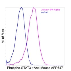 Invitrogen Phospho-STAT3 (Tyr705) Recombinant Mouse Monoclonal Antibody