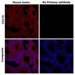 Invitrogen CD276 (B7-H3) Recombinant Rat Monoclonal Antibody (M3.2D7) 100