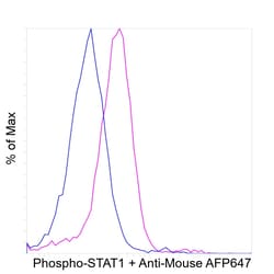 Invitrogen Phospho-STAT1 (Tyr701) Recombinant Mouse Monoclonal Antibody