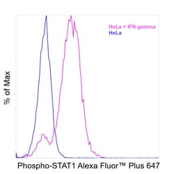 Invitrogen Phospho-STAT1 (Tyr701) Recombinant Mouse Monoclonal Antibody (KIKSI0803), Alexa Fluor Plus 647 50 &mu;L | Buy Online | Invitrogen&trade; | Fisher Scientific