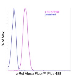 Invitrogen c-Rel Recombinant Rat Monoclonal Antibody (1RELAH5), Alexa Fluor