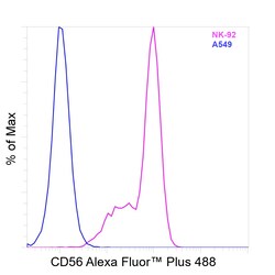 Invitrogen CD56 (NCAM) Recombinant Mouse Monoclonal Antibody (TULY56), Alexa Fluor Plus 488 50 &mu;L | Buy Online | Invitrogen&trade; | Fisher Scientific
