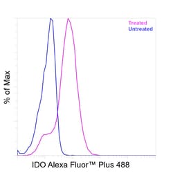 Invitrogen&trade;&nbsp;IDO Recombinant Mouse Monoclonal Antibody (eyedio), Alexa Fluor&trade; Plus 488