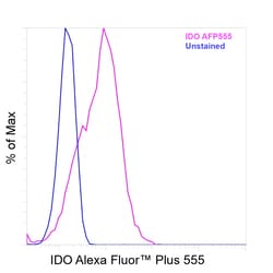 Invitrogen&trade;&nbsp;IDO Recombinant Mouse Monoclonal Antibody (eyedio), Alexa Fluor&trade; Plus 555