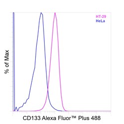 Invitrogen CD133 (Prominin-1) Recombinant Mouse Monoclonal Antibody (EMK08), Alexa Fluor Plus 488 50 &mu;L | Buy Online | Invitrogen&trade; | Fisher Scientific
