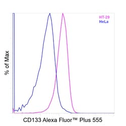 Invitrogen CD133 (Prominin-1) Recombinant Mouse Monoclonal Antibody (EMK08), Alexa Fluor Plus 555 50 &mu;L | Buy Online | Invitrogen&trade; | Fisher Scientific