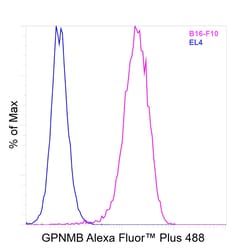 Invitrogen&trade;&nbsp;GPNMB Recombinant Rat Monoclonal Antibody (CTSREVL), Alexa Fluor&trade; Plus 488