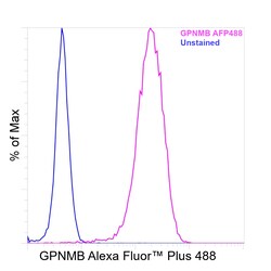 Invitrogen GPNMB Recombinant Rat Monoclonal Antibody (CTSREVL), Alexa Fluor Plus 488 50 &mu;L | Buy Online | Invitrogen&trade; | Fisher Scientific