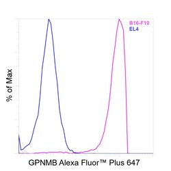 Invitrogen GPNMB Recombinant Rat Monoclonal Antibody (CTSREVL), Alexa Fluor Plus 647 50 &mu;L | Buy Online | Invitrogen&trade; | Fisher Scientific