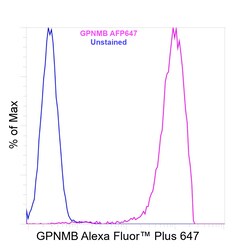 Invitrogen GPNMB Recombinant Rat Monoclonal Antibody (CTSREVL), Alexa Fluor Plus 647 50 &mu;L | Buy Online | Invitrogen&trade; | Fisher Scientific