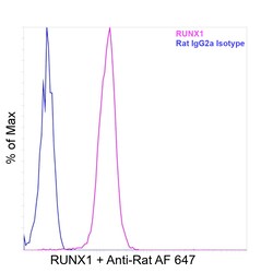 Invitrogen RUNX1 Recombinant Rat Monoclonal Antibody (RXDMC) 20 &mu;L | Buy Online | Invitrogen&trade; | Fisher Scientific