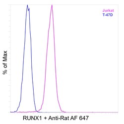 Invitrogen RUNX1 Recombinant Rat Monoclonal Antibody (RXDMC) 20 &mu;L | Buy Online | Invitrogen&trade; | Fisher Scientific