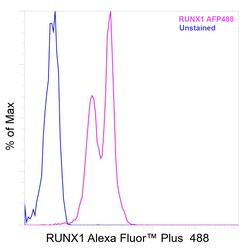 Invitrogen RUNX1 Recombinant Rat Monoclonal Antibody (RXDMC), Alexa Fluor Plus 488 50 &mu;L | Buy Online | Invitrogen&trade; | Fisher Scientific