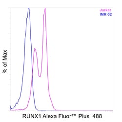 Invitrogen&trade;&nbsp;RUNX1 Recombinant Rat Monoclonal Antibody (RXDMC), Alexa Fluor&trade; Plus 488