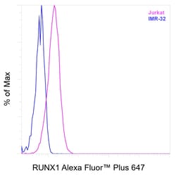 Invitrogen&trade;&nbsp;RUNX1 Recombinant Rat Monoclonal Antibody (RXDMC), Alexa Fluor&trade; Plus 647