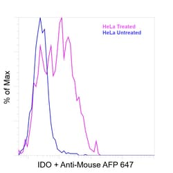 Invitrogen&trade;&nbsp;IDO Recombinant Mouse Monoclonal Antibody (V1NC3IDO)