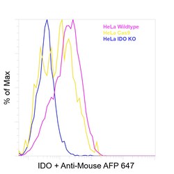 Invitrogen IDO Recombinant Mouse Monoclonal Antibody (V1NC3IDO) 100 &mu;L | Buy Online | Invitrogen&trade; | Fisher Scientific
