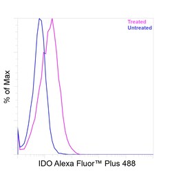 Invitrogen IDO Recombinant Mouse Monoclonal Antibody (V1NC3IDO), Alexa Fluor Plus 488 50 &mu;L | Buy Online | Invitrogen&trade; | Fisher Scientific