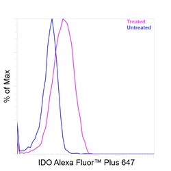 Invitrogen IDO Recombinant Mouse Monoclonal Antibody (V1NC3IDO), Alexa Fluor Plus 647 50 &mu;L | Buy Online | Invitrogen&trade; | Fisher Scientific
