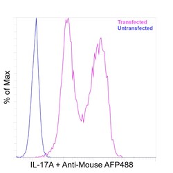 Invitrogen IL-17A Recombinant Mouse Monoclonal Antibody (eBio64CAP17) 100 &mu;L | Buy Online | Invitrogen&trade; | Fisher Scientific