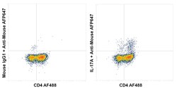 Invitrogen IL-17A Recombinant Mouse Monoclonal Antibody (eBio64CAP17) 100 &mu;L | Buy Online | Invitrogen&trade; | Fisher Scientific